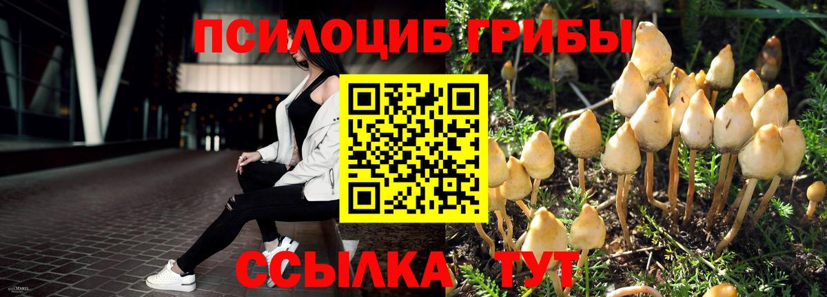 Лабинск  Галлюциногенные грибы MAGIC MUSHROOMS  Вход с VPN  Псилоцибиновые грибы прущие грибы 